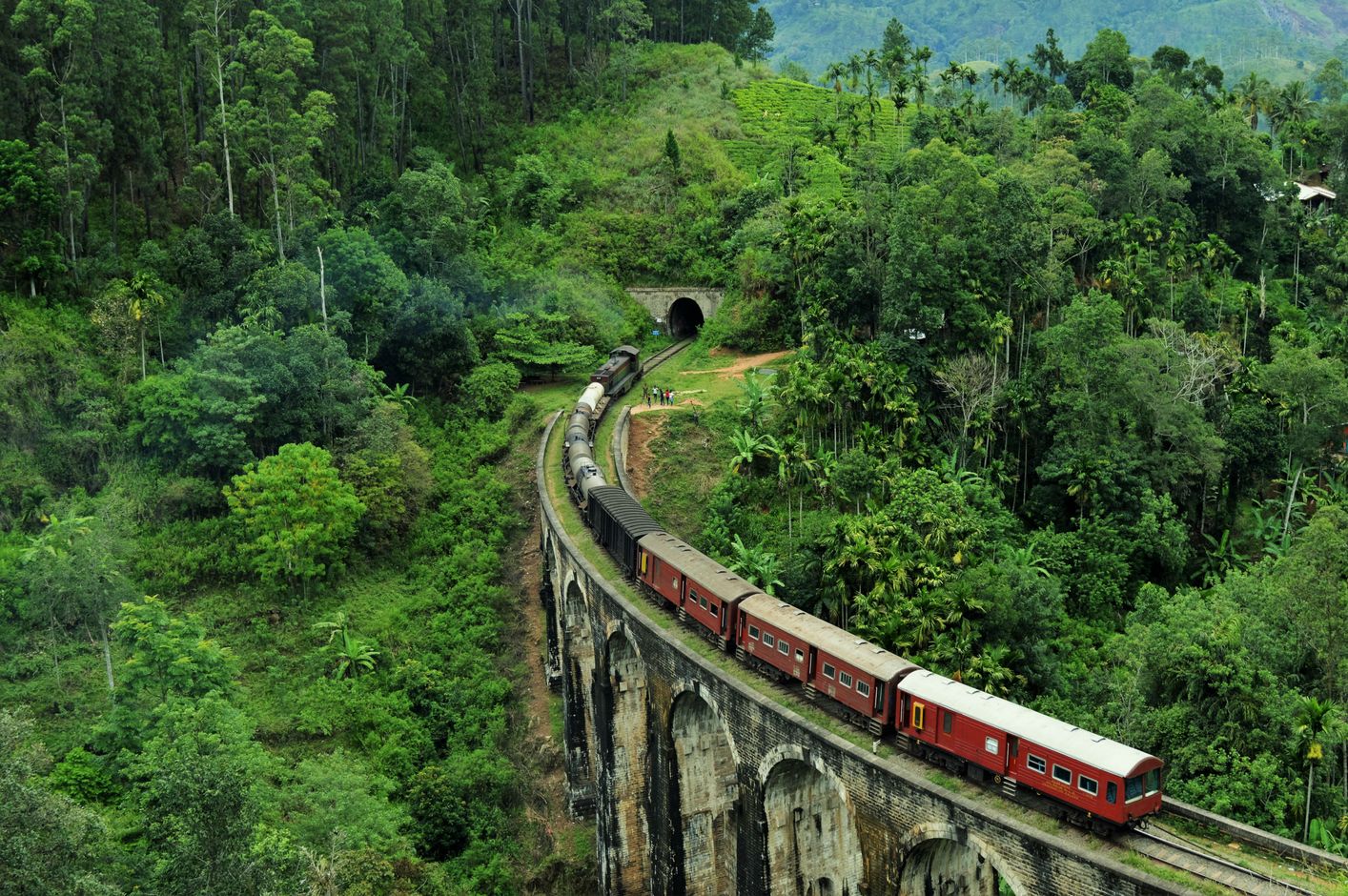 Treinrit Sri Lanka rondreis natuur privéchauffeur